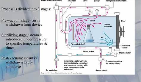 label the schematic of the autoclave with the correct descriptions.