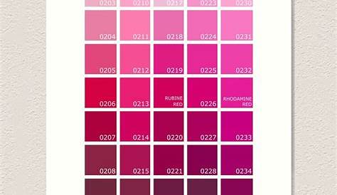 "Shades of Pink Pantone" Art Print for Sale by rogue-design | Redbubble