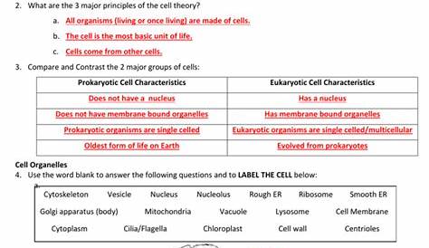 exploring the cell lab worksheet