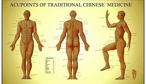 Acupuncture Chart: Human Energy and the Physical Body United | Udemy Blog