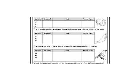 Calculating Momentum Worksheet by Delzer's Dynamite Designs | TPT