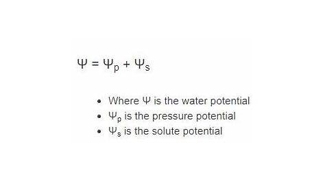 Water Potential Calculator | Formula | - Calculator Academy