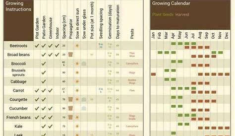 vegetable garden spacing chart