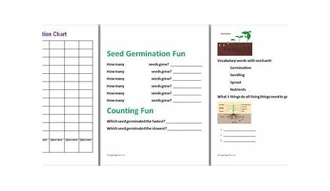 FREE Seed germination lesson plans for kids along with directions for a