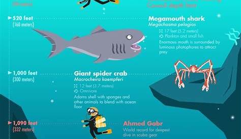 Data Chart : 32 Bizarre Creatures Hidden Deep in the Sea World