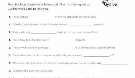 PrimaryLeap.co.uk - What are Fossils? Worksheet | Science | Science
