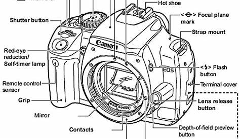 [DIAGRAM] Canon Rebel Digital Diagram Guide - MYDIAGRAM.ONLINE