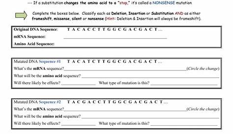 genetic mutations worksheets