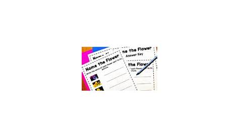flowers name worksheet for kindergarten