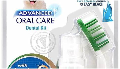 Nylabone Advanced Oral Care Natural Dog Dental Kit: Amazon.ca: Pet Supplies