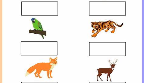 free printable animal worksheets