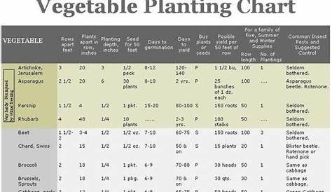 vegetable plant spacing chart in cm