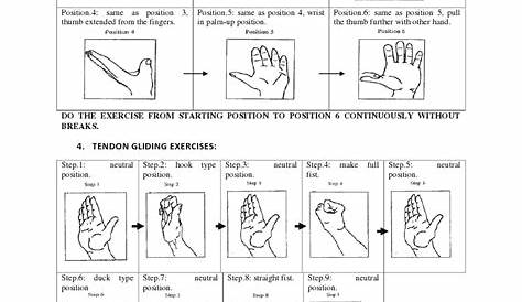 Carpal Tunnel Exercises Pdf Aaos | Resume Examples
