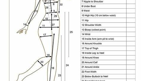 body measurement chart female pdf