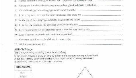 50 Ecological Pyramids Worksheet Answer Key