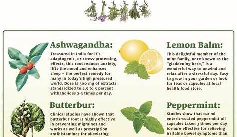 list of herbs and their uses