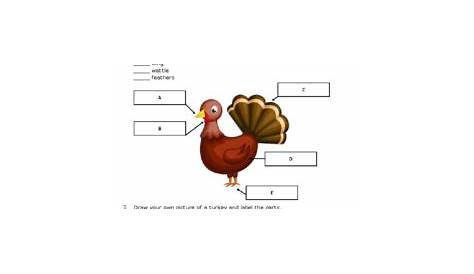 FREE - Thanksgiving Label the Parts of the Turkey Printable | Free