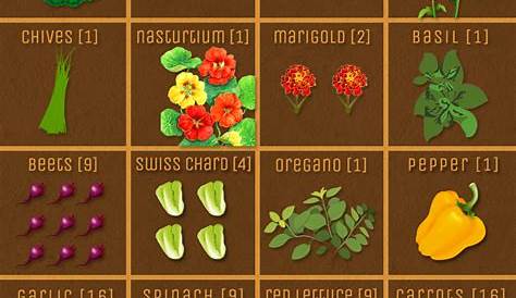 square foot gardening vegetable chart