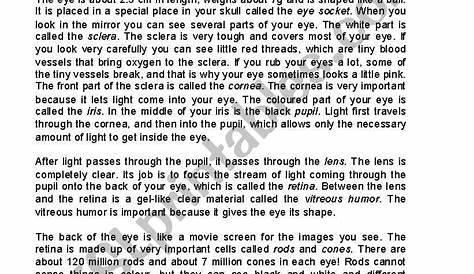 the human eye - ESL worksheet by karima.mostafa