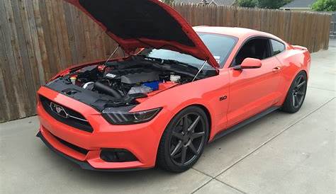 2015 Mustang - Twin Turbo | SVTPerformance.com