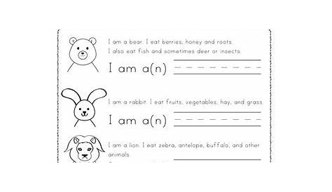 herbaviore carnivore worksheet kindergarten