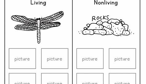 science for 4th graders worksheet