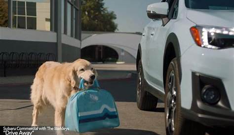 New Subaru TV Commercials feature The Barkleys – Goldstein Subaru Blog