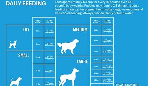 Best 5 dog food quantity chart Hottest - Black Cat White Dog NEWS