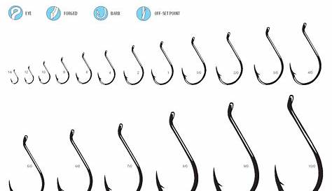 worm hook size chart