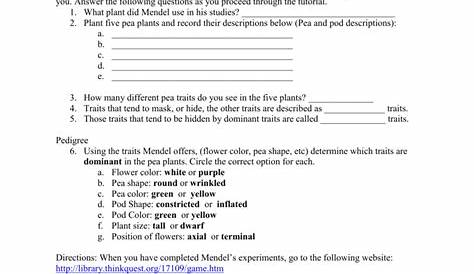 mendel's work worksheet
