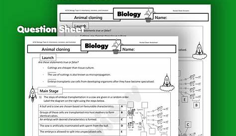 Animal Cloning Home Learning Worksheet GCSE | Teaching Resources