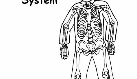 Skeleton Coloring Page