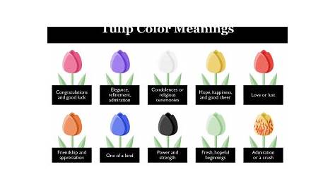 chart tulips color meaning