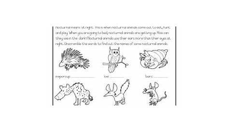 animal life class 5 worksheet