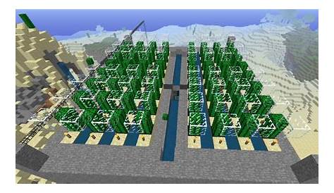 Fully Automatic Cactus Farm Minecraft Project
