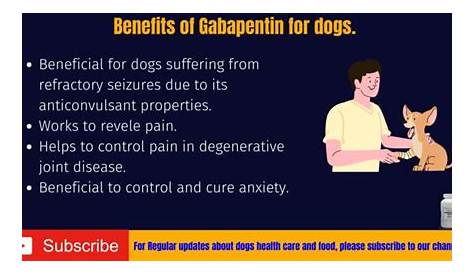 Gabapentin For Dogs-Dosage Chart-How to Use? – Serve Dogs