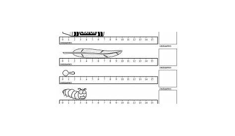 Free Metric System Worksheets | edHelper.com