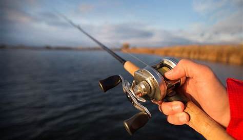 Fishing in LBI. Tips on the best spots. Best of LBI Buzz