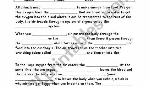 respiratory system worksheet answer key