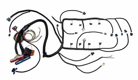 ls1 engine wiring harness diagram