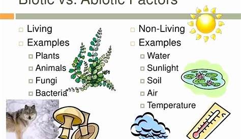 50 Abiotic Vs.biotic Factors Worksheet Answers