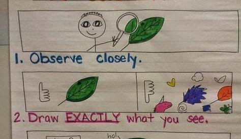 Love this anchor chart for the beginning of the year. Teaches students