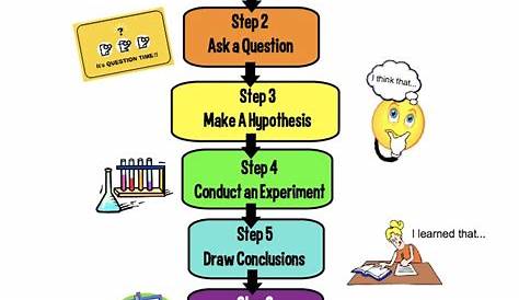 steps to the scientific method worksheets