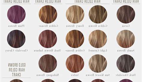 Hair Color 2017/ 2018 Dark Brown Hair Color Chart #brunette #brownhair - # Check more at