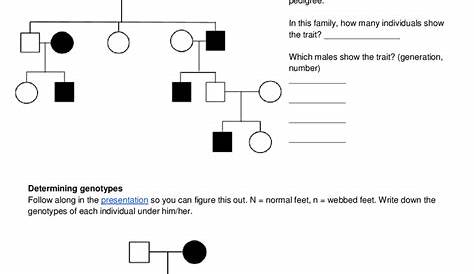 pedigree practice worksheets #2