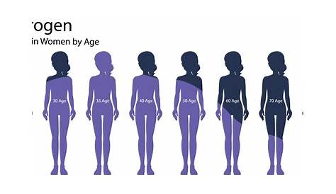 estrogen level chart for women