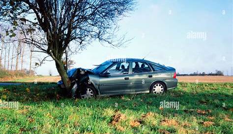 Road accident. Car wreck on hitting tree Stock Photo: 6062047 - Alamy