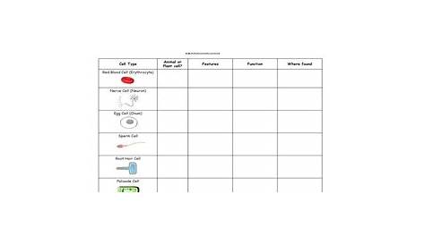 Year 7 Cells - Ppt and worksheets | Teaching Resources