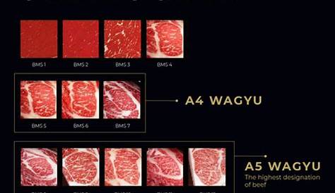 wagyu beef grade chart
