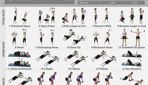 full body dumbbell workout chart pdf